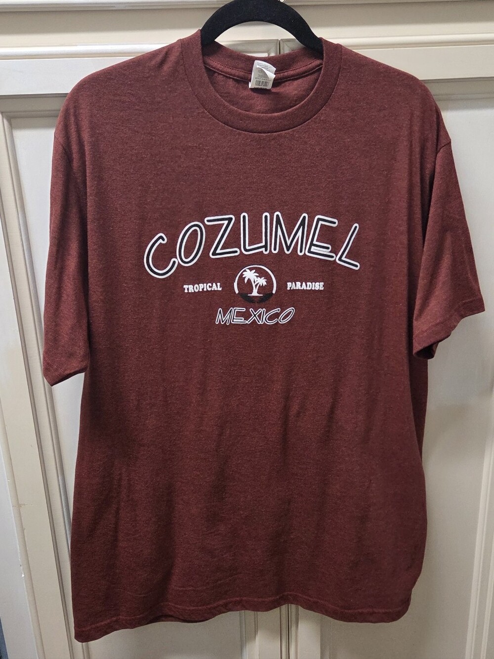 Cozumel Mexico Maroon Graphic T-Shirt - Men/Unisex Large